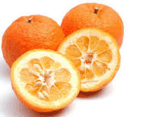 Oranges - Seville